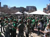 St. Patrick's Day (Parade) 2009: Image