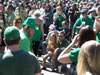 St. Patrick's Day (Parade) 2009: Image