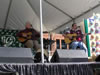 St. Patrick's Day (Parade) 2009: Image