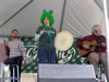 St. Patrick's Day (Parade) 2009: Image