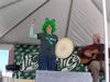 St. Patrick's Day (Parade) 2009: Image