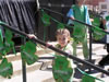 St. Patrick's Day (Parade) 2009: Image