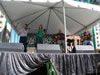 St. Patrick's Day (Parade) 2009: Image