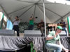 St. Patrick's Day (Parade) 2009: Image