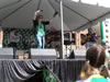 St. Patrick's Day (Parade) 2009: Image