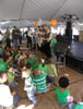 St. Patrick's Day (Parade) 2009: Image