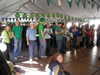 St. Patrick's Day (Parade) 2009: Image
